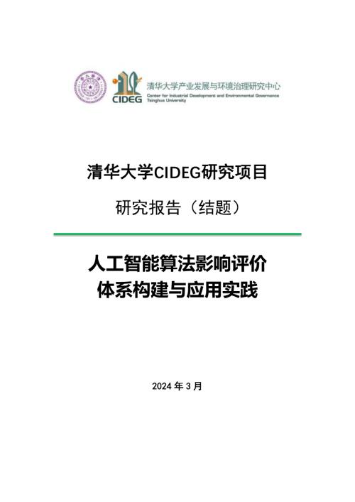 CIDEG：2024人工智能算法影响评价